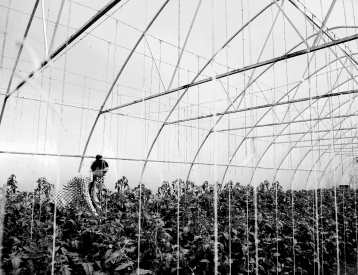Cultivation facility