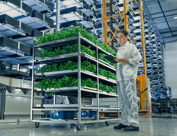 Cultivation facility
